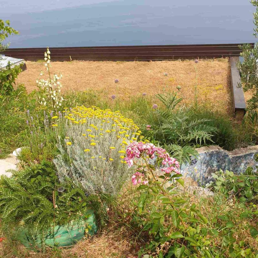 Mary'S Garden Tulisevica Exterior foto