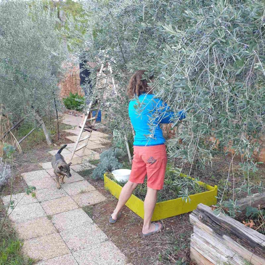 Mary'S Garden Tulisevica Exterior foto