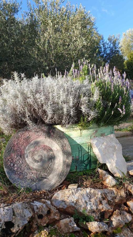 Mary'S Garden Tulisevica Exterior foto