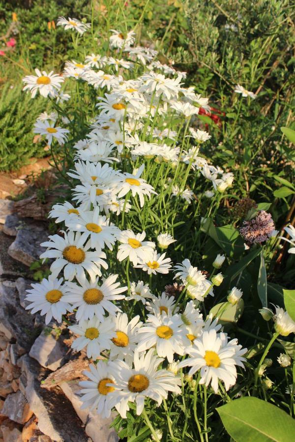 Mary'S Garden Tulisevica Exterior foto
