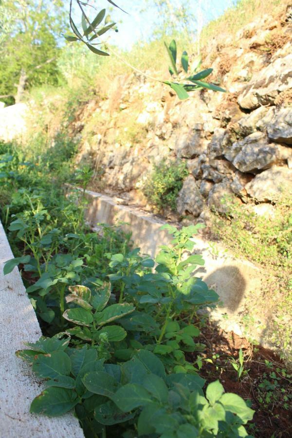 Mary'S Garden Tulisevica Exterior foto