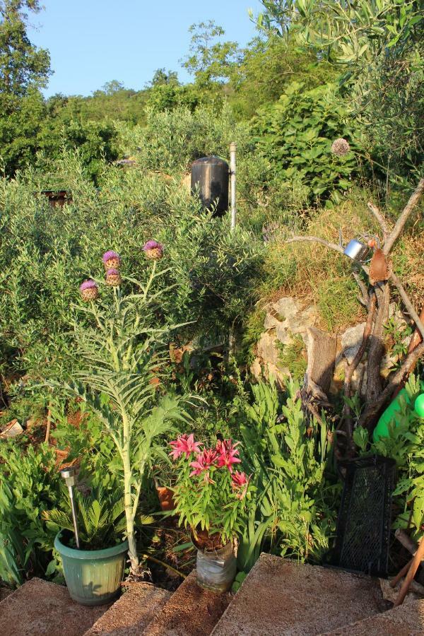 Mary'S Garden Tulisevica Exterior foto