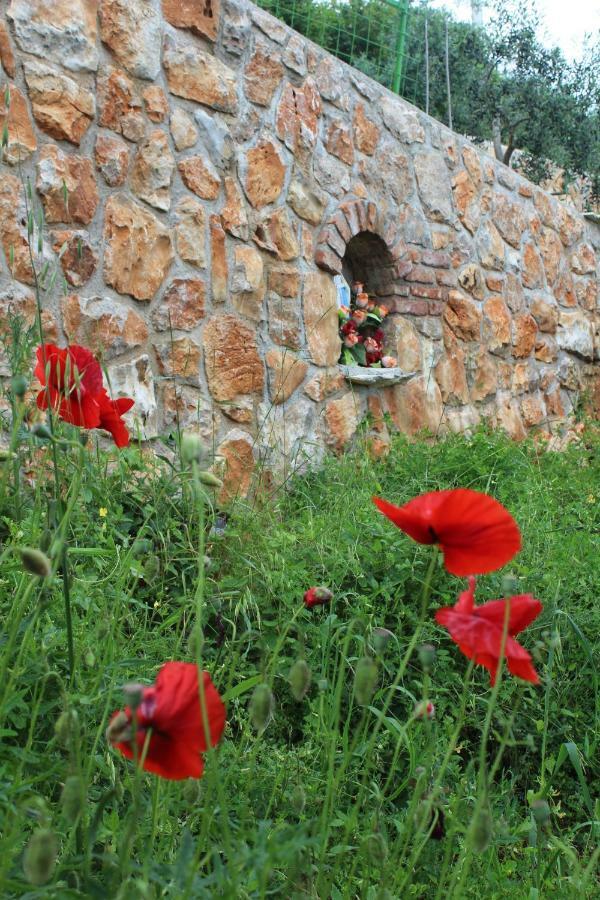 Mary'S Garden Tulisevica Exterior foto