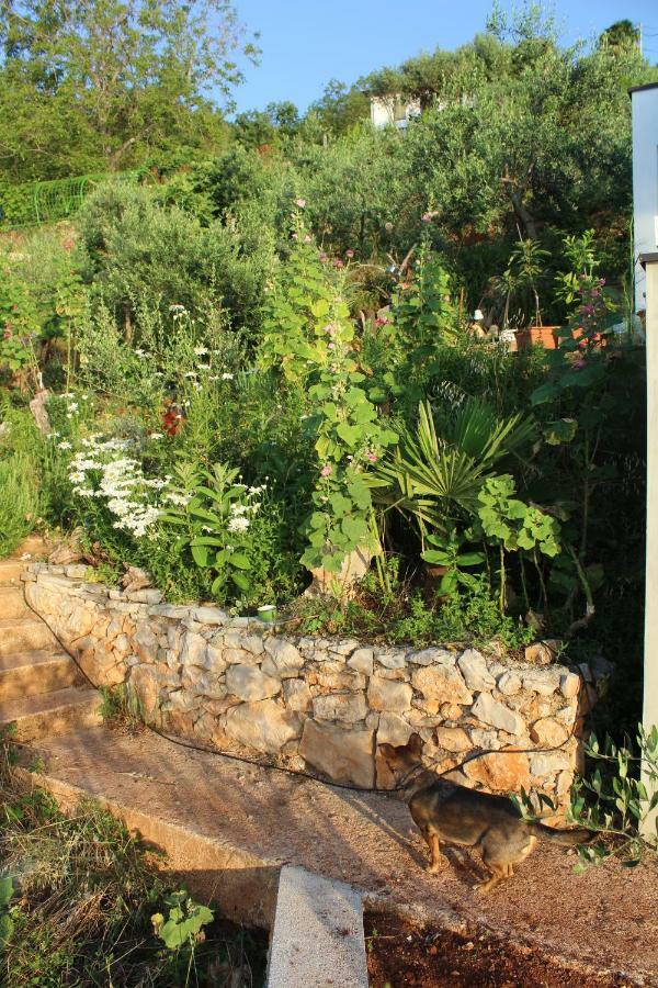 Mary'S Garden Tulisevica Exterior foto